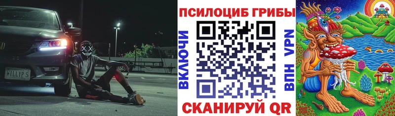 Купить где Опочка Псилоцибиновые грибы прущие грибы