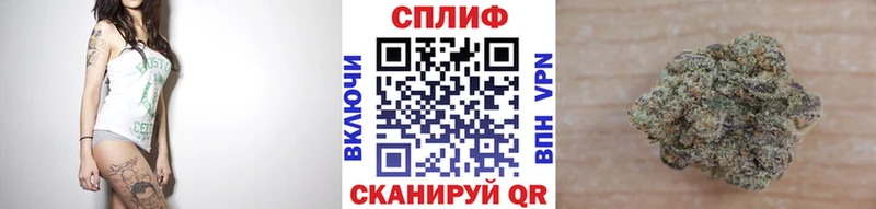 Купить  Опочка  Каннабис сатива 